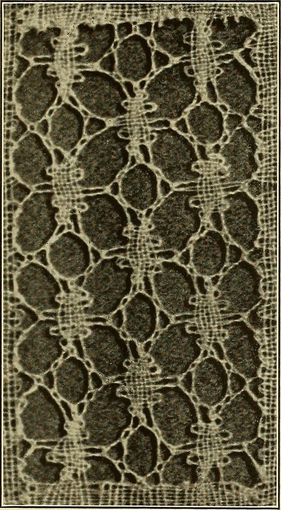 An illustration from A lace guide for makers and collectors; with bibliography and five-language nomenculture, profusely illus. with halftone plates and key designs, 1920, leaf 188