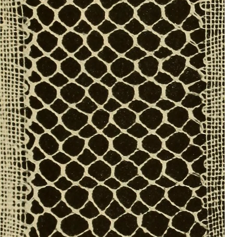 An illustration from A lace guide for makers and collectors; with bibliography and five-language nomenculture, profusely illus. with halftone plates and key designs, 1920, leaf 192