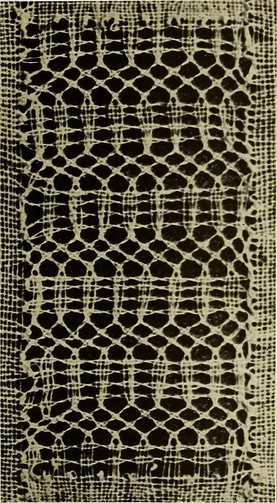 An illustration from A lace guide for makers and collectors; with bibliography and five-language nomenculture, profusely illus. with halftone plates and key designs, 1920, leaf 198