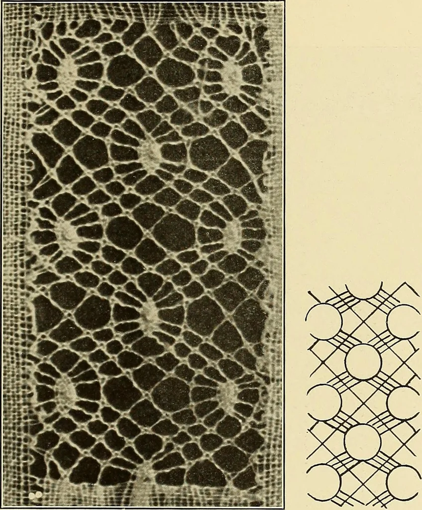 An illustration from A lace guide for makers and collectors; with bibliography and five-language nomenculture, profusely illus. with halftone plates and key designs, 1920, leaf 202