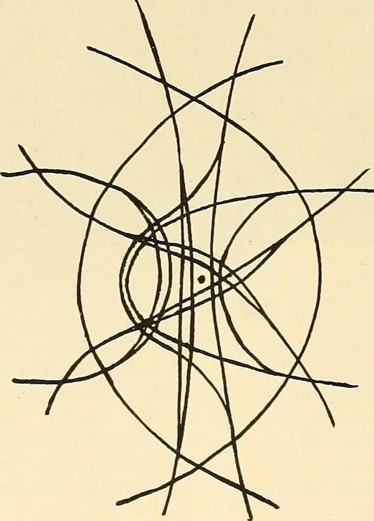 An illustration from A lace guide for makers and collectors; with bibliography and five-language nomenculture, profusely illus. with halftone plates and key designs, 1920, leaf 205