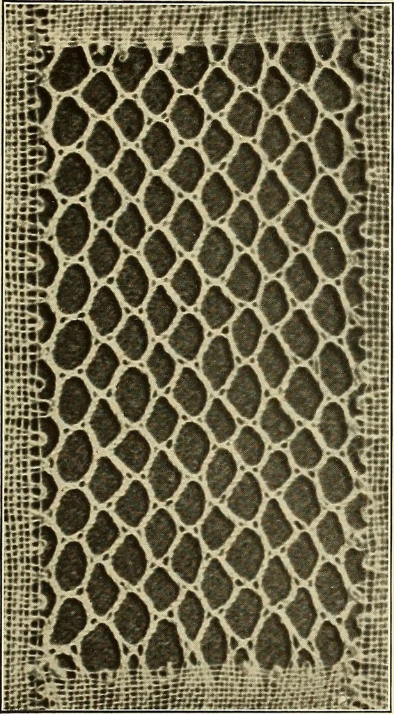 An illustration from A lace guide for makers and collectors; with bibliography and five-language nomenculture, profusely illus. with halftone plates and key designs, 1920, leaf 208