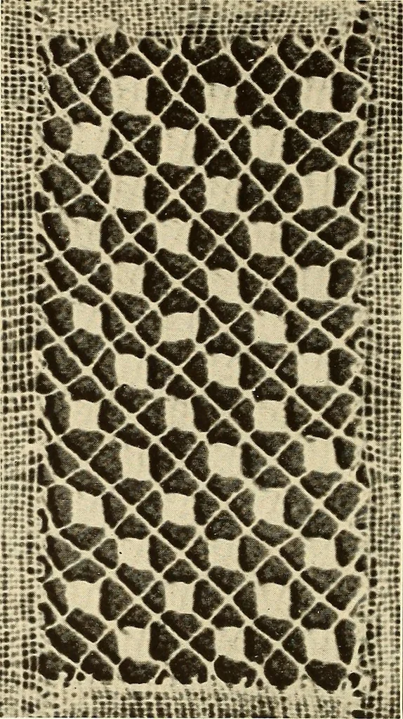 An illustration from A lace guide for makers and collectors; with bibliography and five-language nomenculture, profusely illus. with halftone plates and key designs, 1920, leaf 209