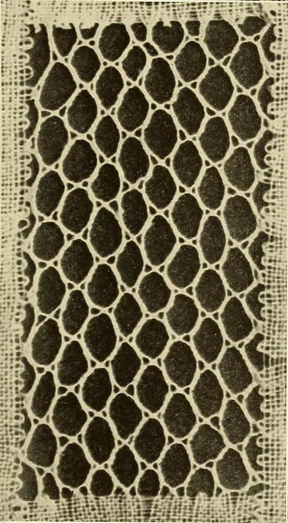 An illustration from A lace guide for makers and collectors; with bibliography and five-language nomenculture, profusely illus. with halftone plates and key designs, 1920, leaf 212