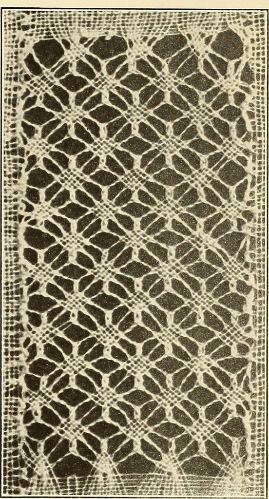 An illustration from A lace guide for makers and collectors; with bibliography and five-language nomenculture, profusely illus. with halftone plates and key designs, 1920, leaf 213