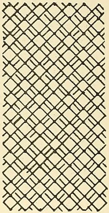 An illustration from A lace guide for makers and collectors; with bibliography and five-language nomenculture, profusely illus. with halftone plates and key designs, 1920, leaf 213