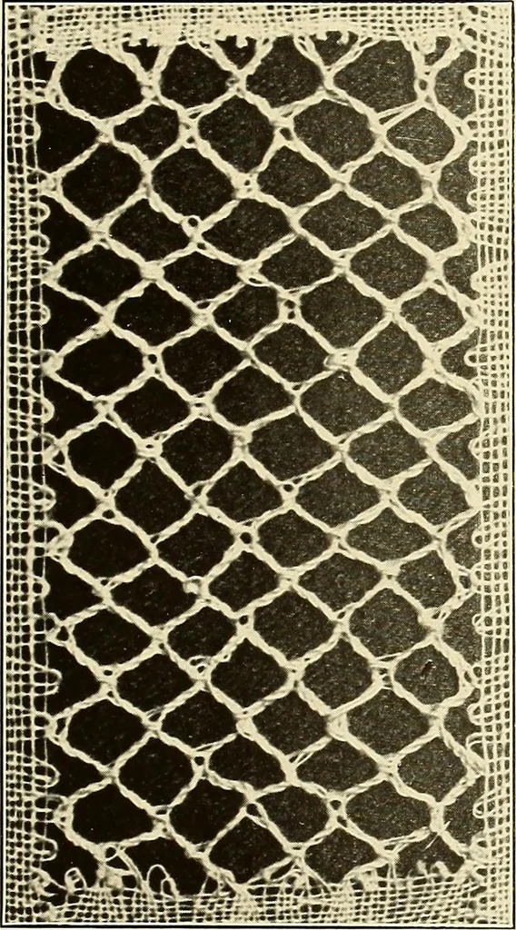 An illustration from A lace guide for makers and collectors; with bibliography and five-language nomenculture, profusely illus. with halftone plates and key designs, 1920, leaf 214