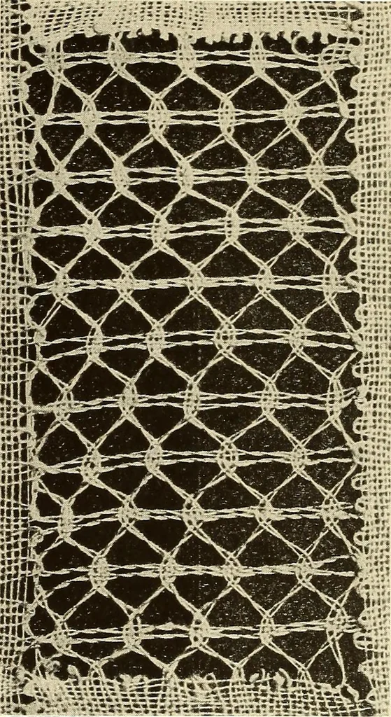 An illustration from A lace guide for makers and collectors; with bibliography and five-language nomenculture, profusely illus. with halftone plates and key designs, 1920, leaf 215