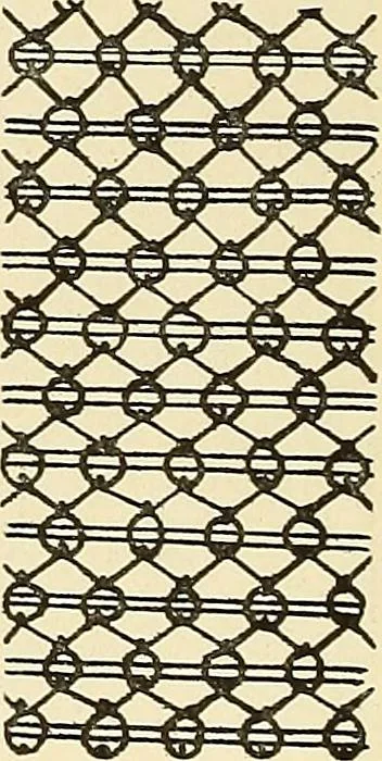 An illustration from A lace guide for makers and collectors; with bibliography and five-language nomenculture, profusely illus. with halftone plates and key designs, 1920, leaf 215