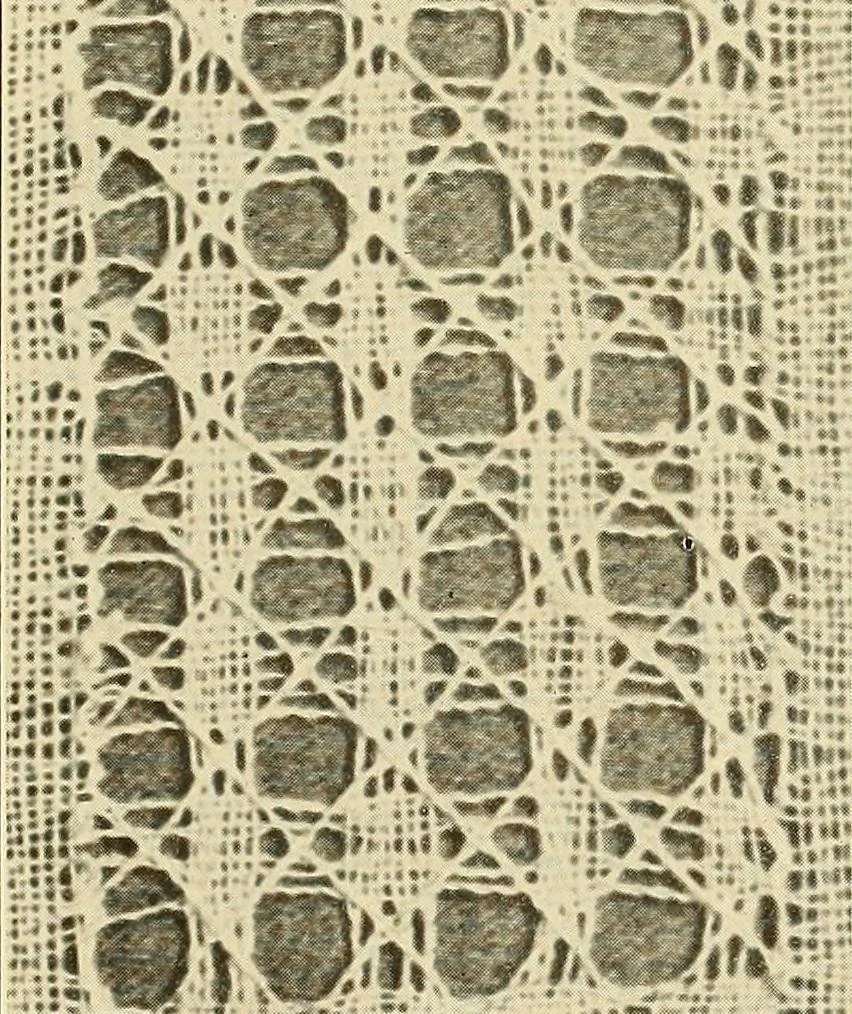 An illustration from A lace guide for makers and collectors; with bibliography and five-language nomenculture, profusely illus. with halftone plates and key designs, 1920, leaf 218