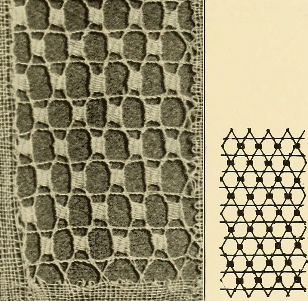 An illustration from A lace guide for makers and collectors; with bibliography and five-language nomenculture, profusely illus. with halftone plates and key designs, 1920, leaf 220