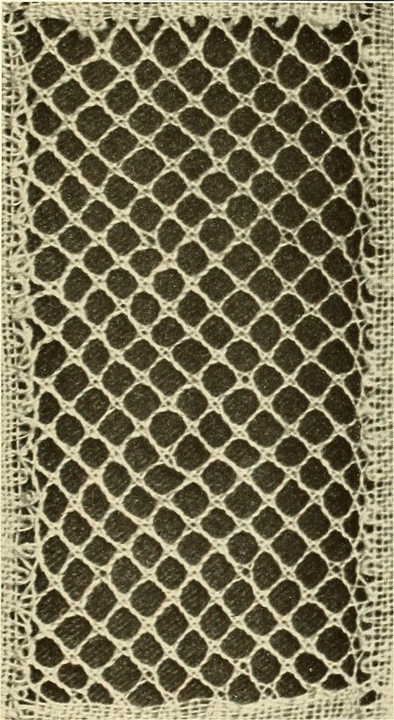 An illustration from A lace guide for makers and collectors; with bibliography and five-language nomenculture, profusely illus. with halftone plates and key designs, 1920, leaf 222