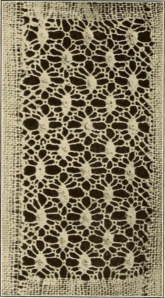 An illustration from A lace guide for makers and collectors; with bibliography and five-language nomenculture, profusely illus. with halftone plates and key designs, 1920, leaf 223