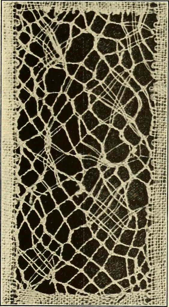 An illustration from A lace guide for makers and collectors; with bibliography and five-language nomenculture, profusely illus. with halftone plates and key designs, 1920, leaf 224