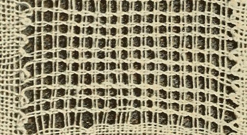 An illustration from A lace guide for makers and collectors; with bibliography and five-language nomenculture, profusely illus. with halftone plates and key designs, 1920, leaf 227