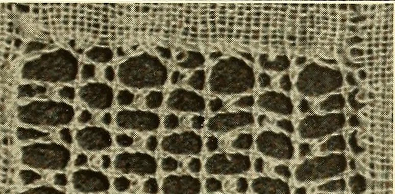 An illustration from A lace guide for makers and collectors; with bibliography and five-language nomenculture, profusely illus. with halftone plates and key designs, 1920, leaf 228