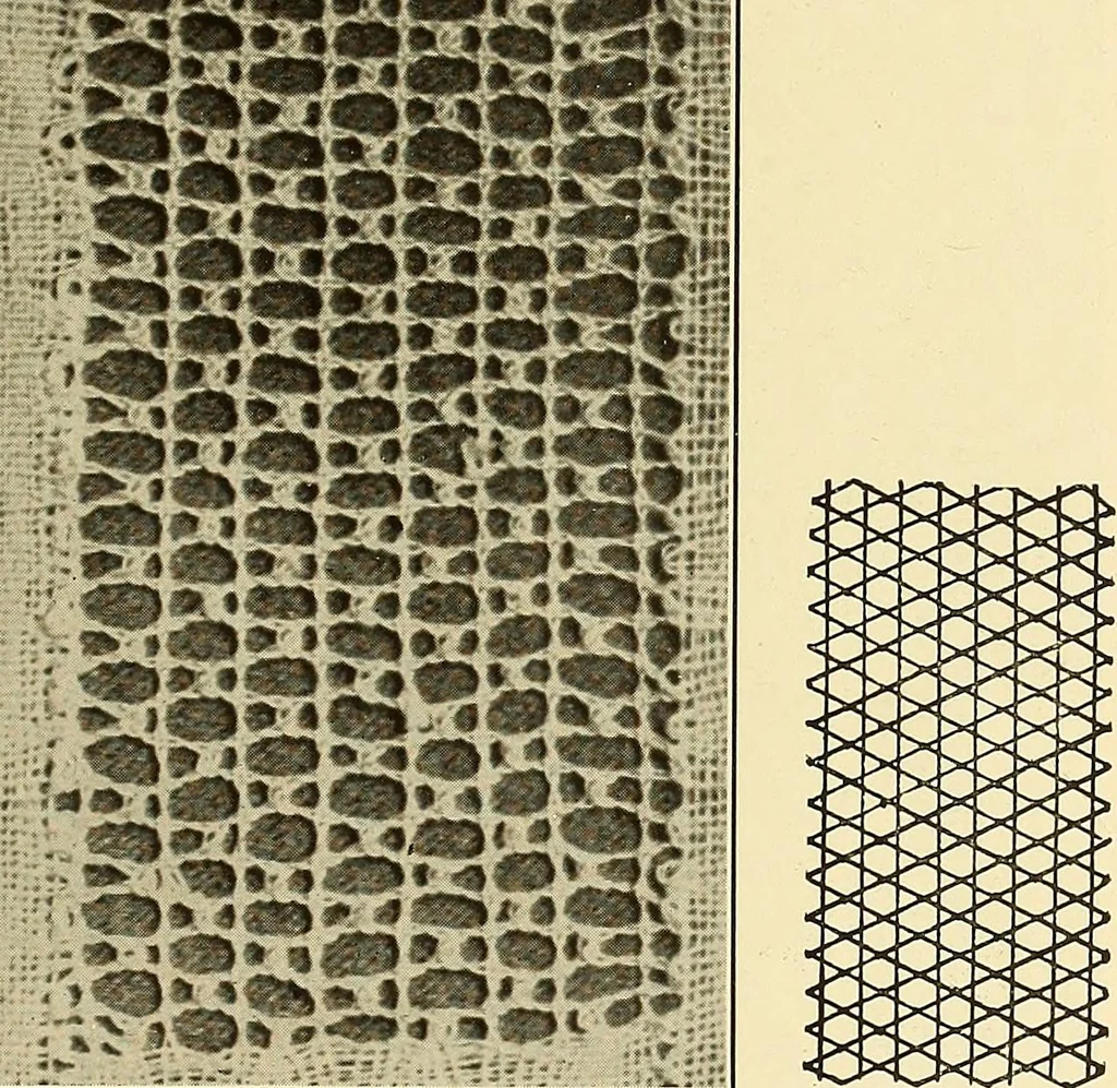An illustration from A lace guide for makers and collectors; with bibliography and five-language nomenculture, profusely illus. with halftone plates and key designs, 1920, leaf 228