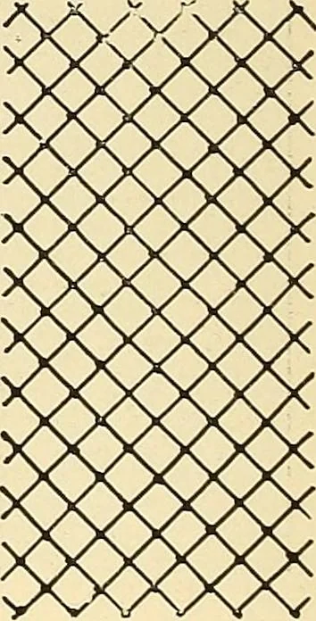 An illustration from A lace guide for makers and collectors; with bibliography and five-language nomenculture, profusely illus. with halftone plates and key designs, 1920, leaf 229