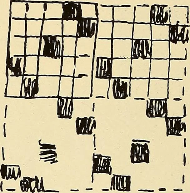 An illustration from A lace guide for makers and collectors; with bibliography and five-language nomenculture, profusely illus. with halftone plates and key designs, 1920, leaf 231