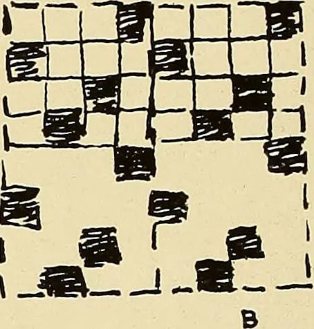 An illustration from A lace guide for makers and collectors; with bibliography and five-language nomenculture, profusely illus. with halftone plates and key designs, 1920, leaf 231