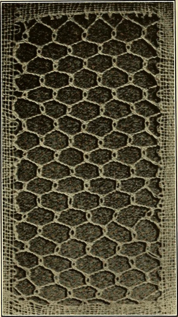 An illustration from A lace guide for makers and collectors; with bibliography and five-language nomenculture, profusely illus. with halftone plates and key designs, 1920, leaf 232