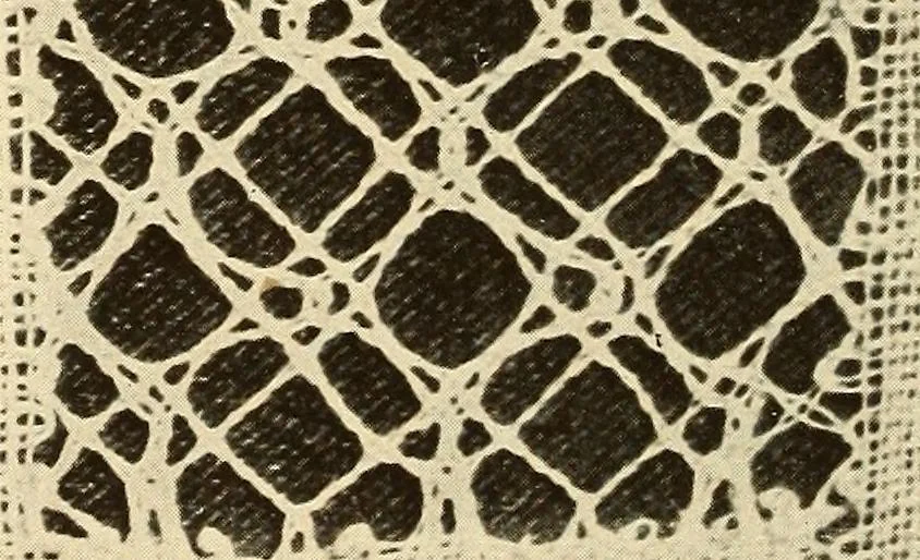 An illustration from A lace guide for makers and collectors; with bibliography and five-language nomenculture, profusely illus. with halftone plates and key designs, 1920, leaf 233