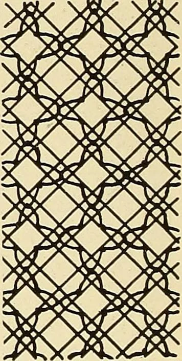 An illustration from A lace guide for makers and collectors; with bibliography and five-language nomenculture, profusely illus. with halftone plates and key designs, 1920, leaf 233