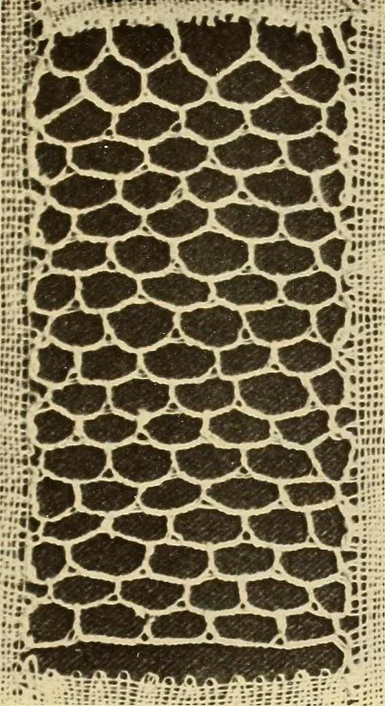 An illustration from A lace guide for makers and collectors; with bibliography and five-language nomenculture, profusely illus. with halftone plates and key designs, 1920, leaf 234