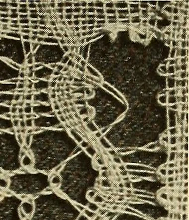 An illustration from A lace guide for makers and collectors; with bibliography and five-language nomenculture, profusely illus. with halftone plates and key designs, 1920, leaf 238
