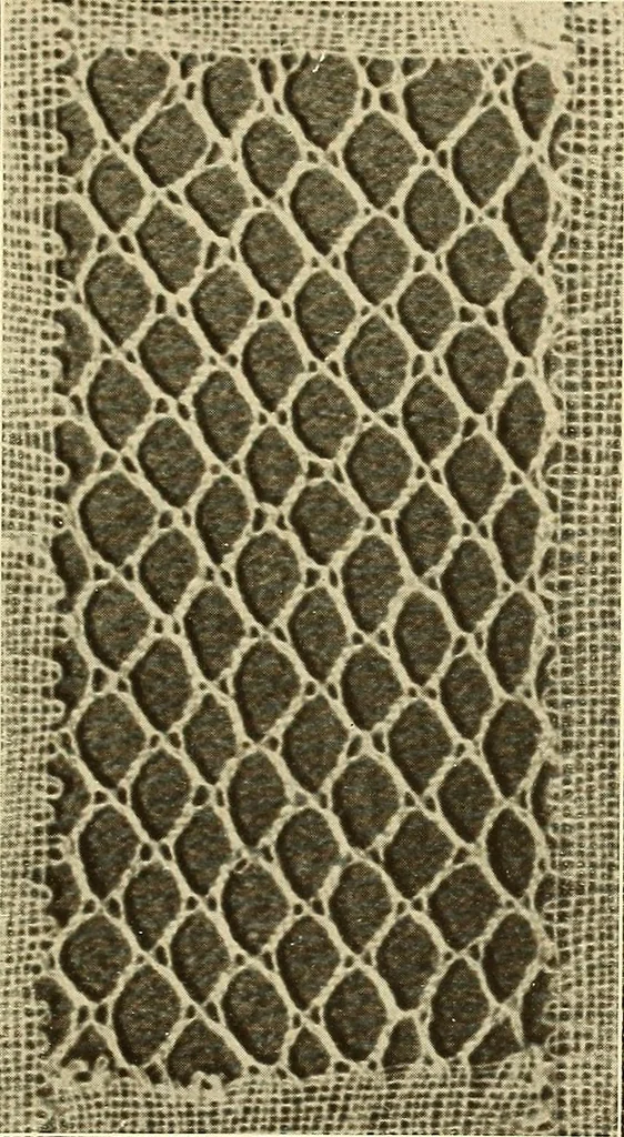 An illustration from A lace guide for makers and collectors; with bibliography and five-language nomenculture, profusely illus. with halftone plates and key designs, 1920, leaf 242