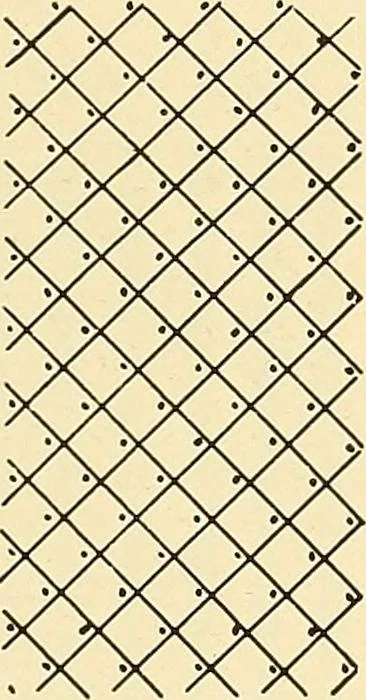 An illustration from A lace guide for makers and collectors; with bibliography and five-language nomenculture, profusely illus. with halftone plates and key designs, 1920, leaf 242