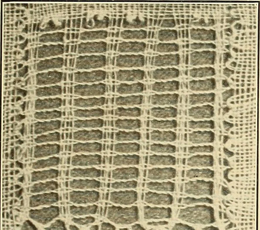 An illustration from A lace guide for makers and collectors; with bibliography and five-language nomenculture, profusely illus. with halftone plates and key designs, 1920, leaf 244