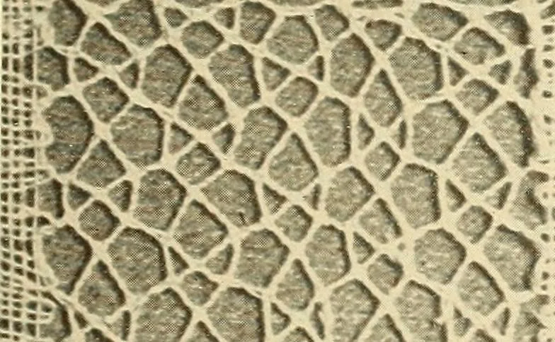 An illustration from A lace guide for makers and collectors; with bibliography and five-language nomenculture, profusely illus. with halftone plates and key designs, 1920, leaf 244