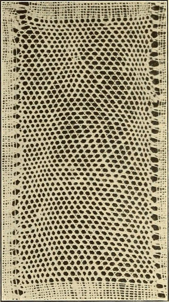 An illustration from A lace guide for makers and collectors; with bibliography and five-language nomenculture, profusely illus. with halftone plates and key designs, 1920, leaf 73