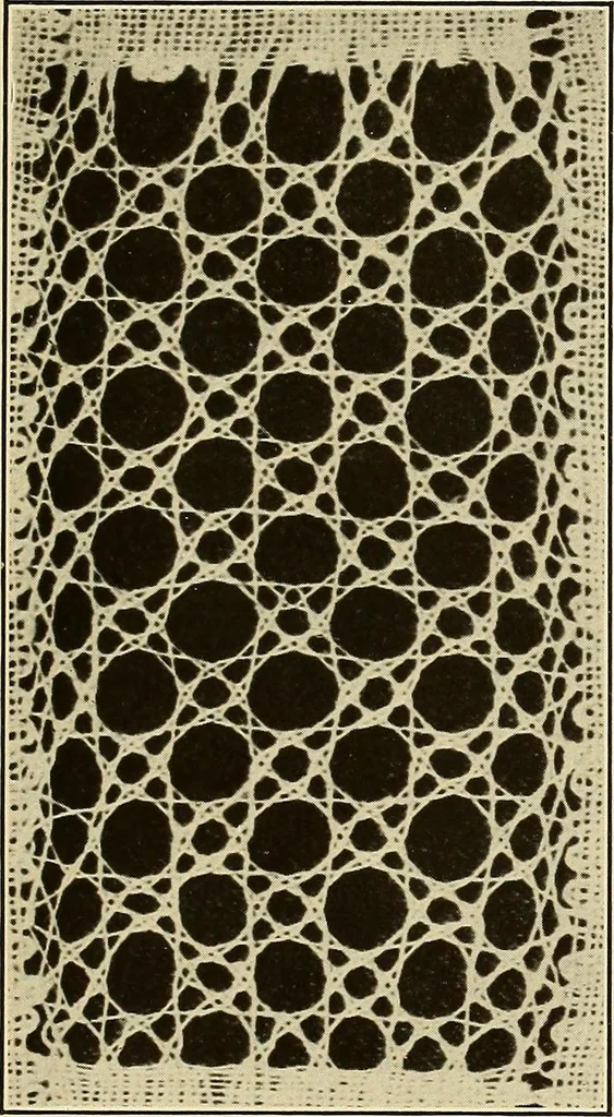 An illustration from A lace guide for makers and collectors; with bibliography and five-language nomenculture, profusely illus. with halftone plates and key designs, 1920, leaf 74