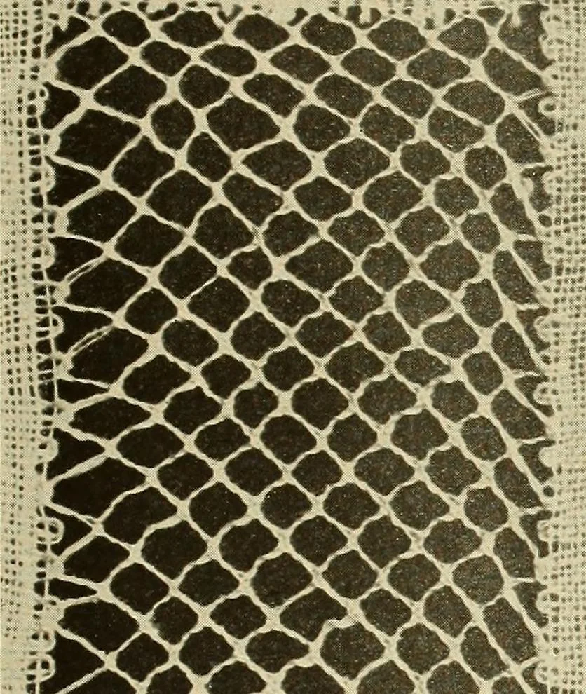 An illustration from A lace guide for makers and collectors; with bibliography and five-language nomenculture, profusely illus. with halftone plates and key designs, 1920, leaf 76