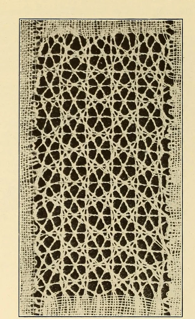 An illustration from A lace guide for makers and collectors; with bibliography and five-language nomenculture, profusely illus. with halftone plates and key designs, 1920, leaf 77