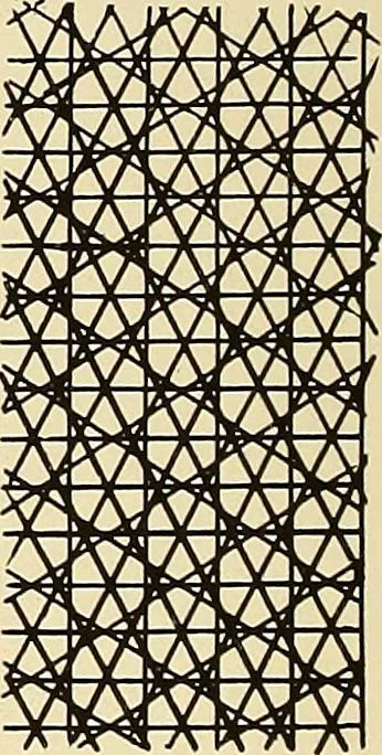 An illustration from A lace guide for makers and collectors; with bibliography and five-language nomenculture, profusely illus. with halftone plates and key designs, 1920, leaf 77