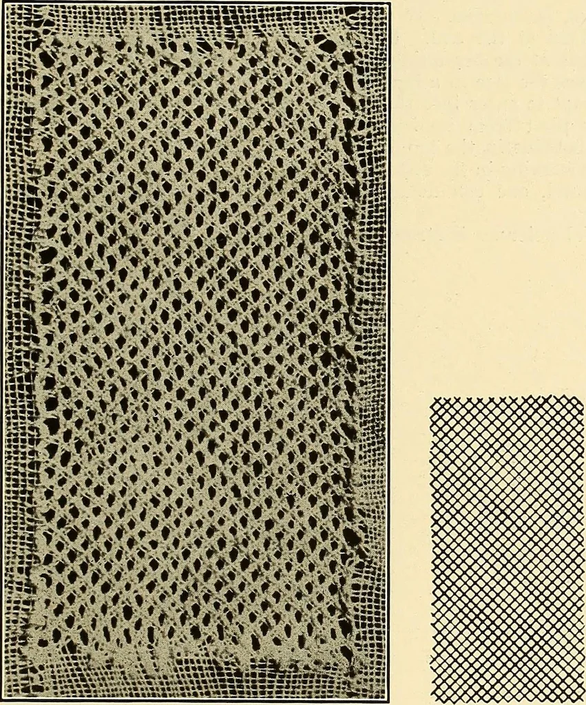 An illustration from A lace guide for makers and collectors; with bibliography and five-language nomenculture, profusely illus. with halftone plates and key designs, 1920, leaf 80