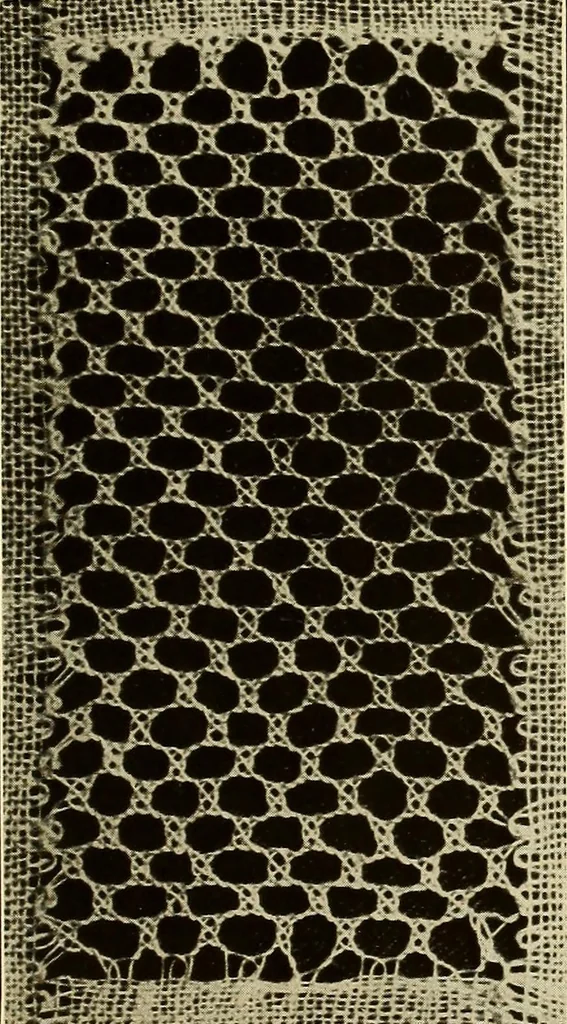 An illustration from A lace guide for makers and collectors; with bibliography and five-language nomenculture, profusely illus. with halftone plates and key designs, 1920, leaf 86