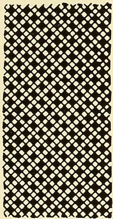 An illustration from A lace guide for makers and collectors; with bibliography and five-language nomenculture, profusely illus. with halftone plates and key designs, 1920, leaf 96