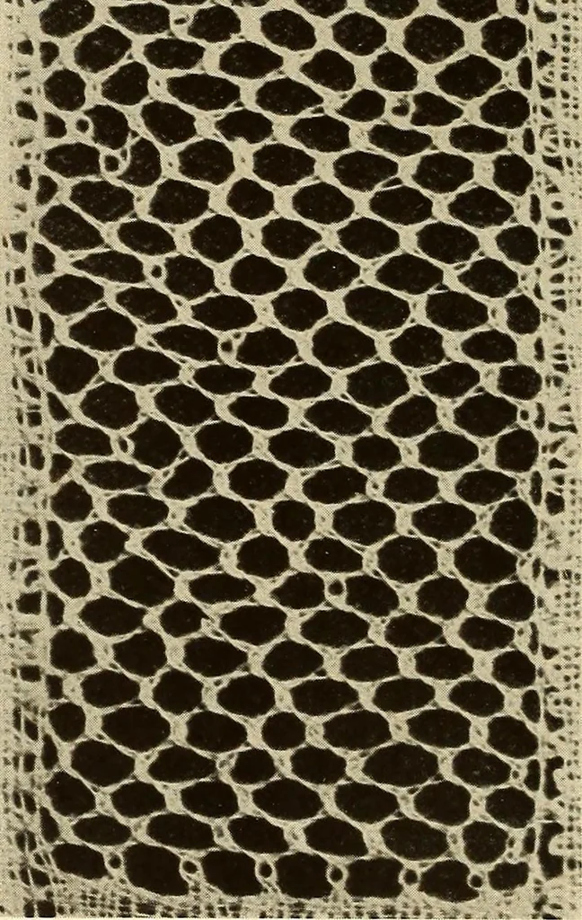 An illustration from A lace guide for makers and collectors; with bibliography and five-language nomenculture, profusely illus. with halftone plates and key designs, 1920, leaf 97