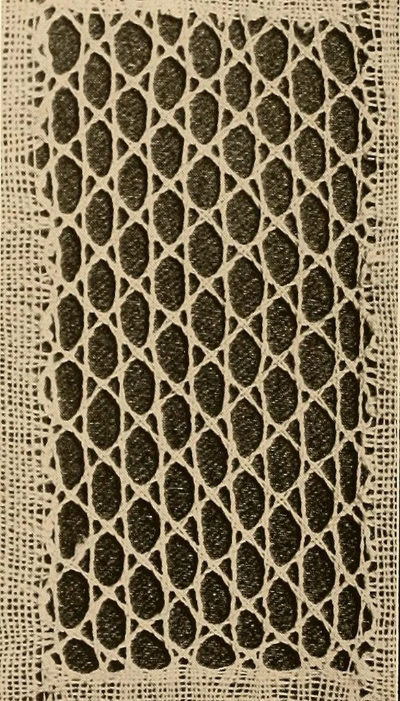 An illustration from A lace guide for makers and collectors; with a bibliography and five-language nomenclature, profusely illus. with halftone plates and key designs, 1920, leaf 101