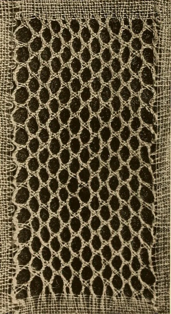 An illustration from A lace guide for makers and collectors; with a bibliography and five-language nomenclature, profusely illus. with halftone plates and key designs, 1920, leaf 103