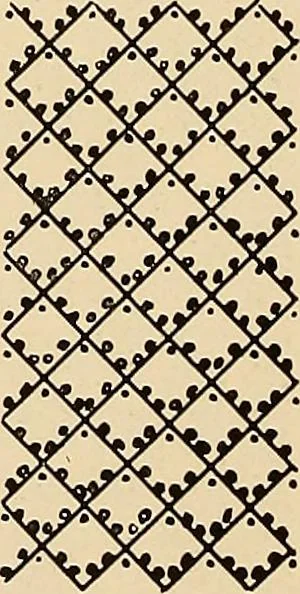 An illustration from A lace guide for makers and collectors; with a bibliography and five-language nomenclature, profusely illus. with halftone plates and key designs, 1920, leaf 105
