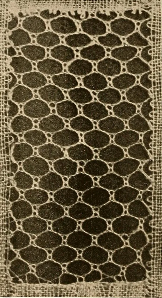 An illustration from A lace guide for makers and collectors; with a bibliography and five-language nomenclature, profusely illus. with halftone plates and key designs, 1920, leaf 107
