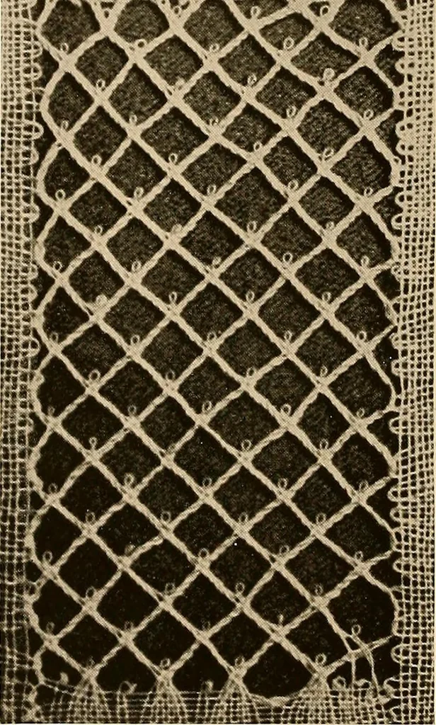 An illustration from A lace guide for makers and collectors; with a bibliography and five-language nomenclature, profusely illus. with halftone plates and key designs, 1920, leaf 109
