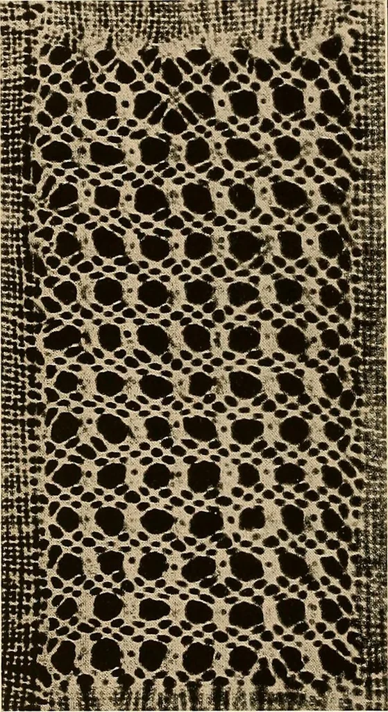 An illustration from A lace guide for makers and collectors; with a bibliography and five-language nomenclature, profusely illus. with halftone plates and key designs, 1920, leaf 113