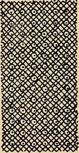 An illustration from A lace guide for makers and collectors; with a bibliography and five-language nomenclature, profusely illus. with halftone plates and key designs, 1920, leaf 113