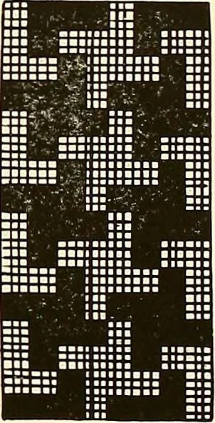 An illustration from A lace guide for makers and collectors; with a bibliography and five-language nomenclature, profusely illus. with halftone plates and key designs, 1920, leaf 114